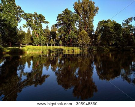 Landscape Trees Near The Water In The Park