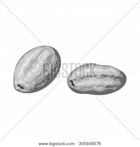 Isolated Object Of Kumquat  And Citrus  Symbol. Set Of Kumquat  And Crop Vector Icon For Stock.
