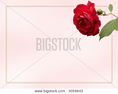 Rose Card