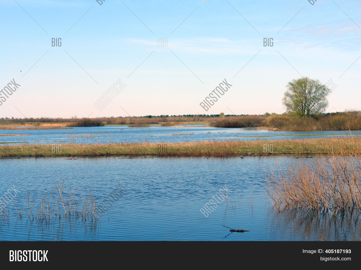 Spring Flood Meadows. Image & Photo (Free Trial) | Bigstock