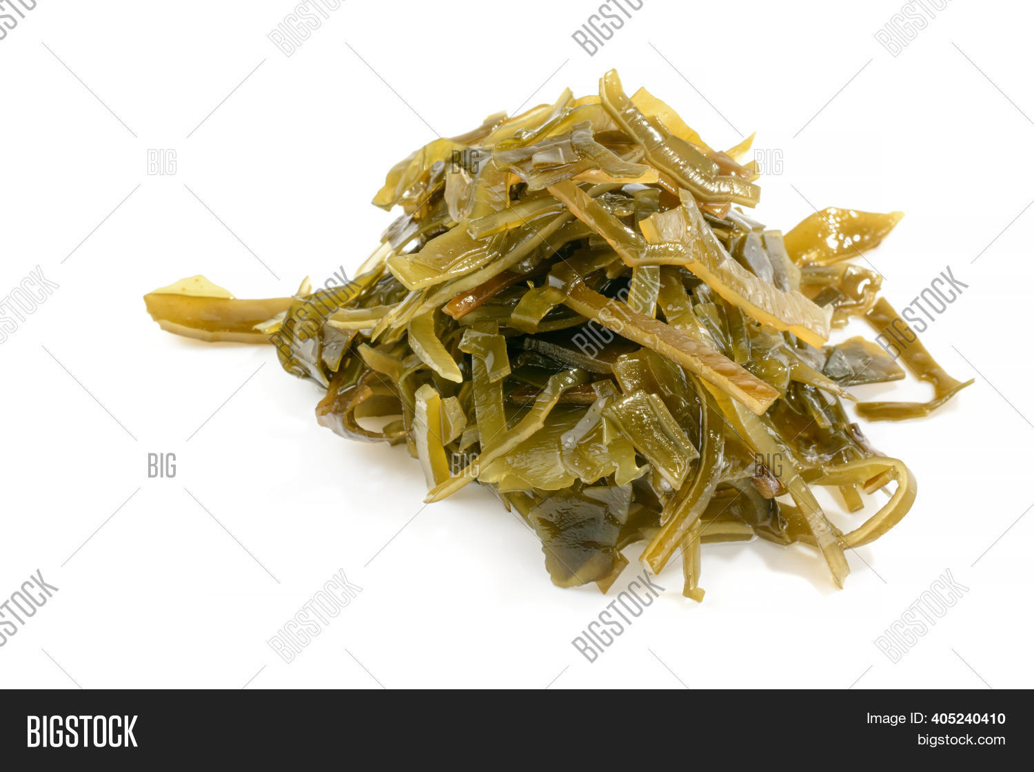 Sea Kale. Seaweed Kelp Image & Photo (Free Trial) Bigstock