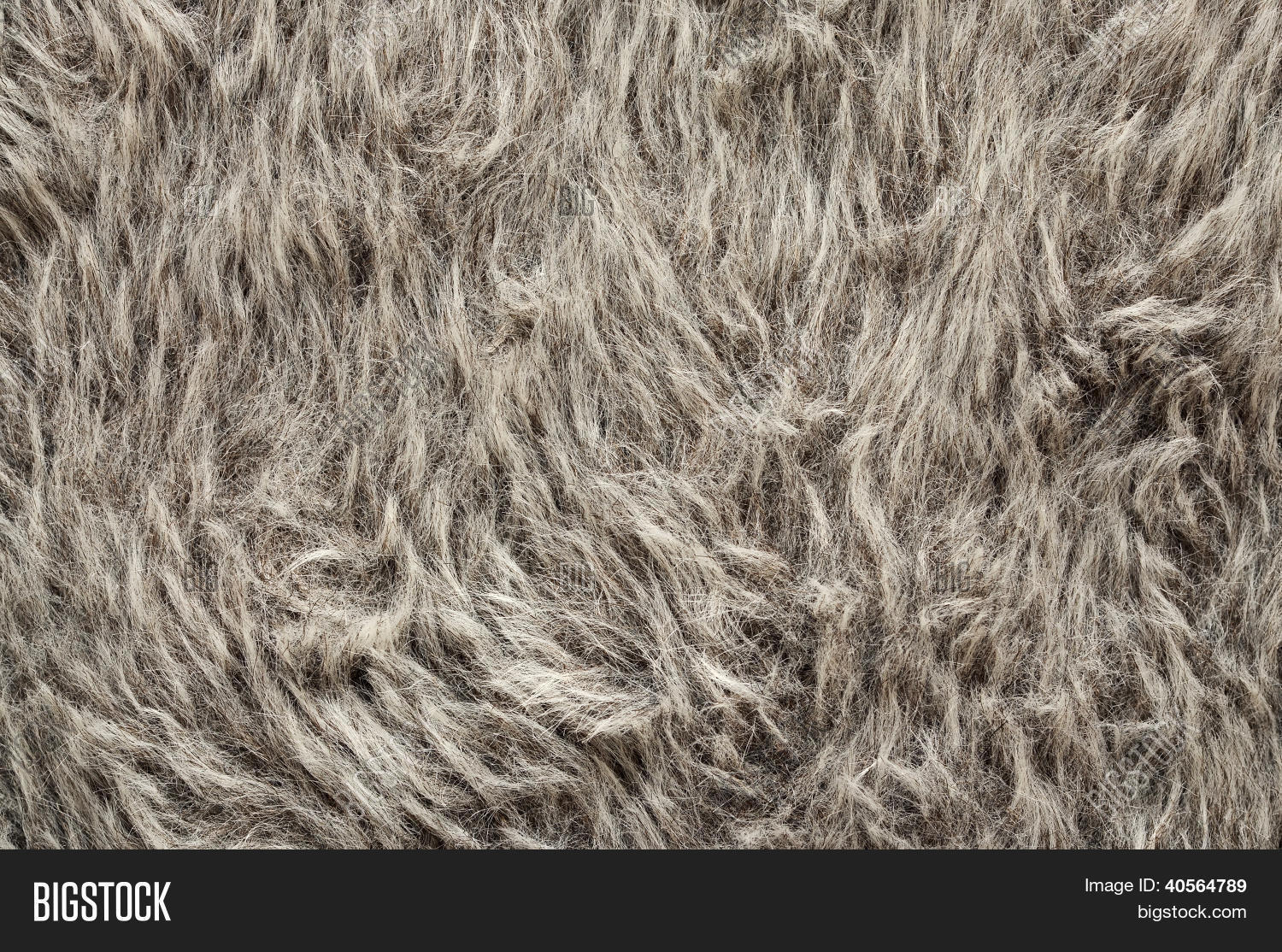 Imagen y foto Textura De Pelaje (prueba gratis) | Bigstock, image size:1500x1114