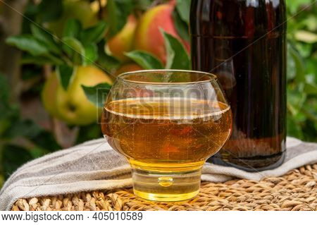 Glass Of Apple Cider From Normandy, France And Green Apple Tree With Ripe Red Fruits On Background