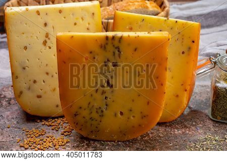 Cheese Collection, Pieces Of Hard Yellow Dutch Gouda Cheese With Dried Caraway, Mustard, Cumin, Fenu
