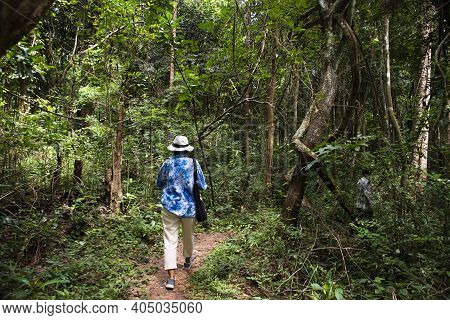 Thai Travelers Women People Walking Trail Hiking And Trekking Travel Visit In Forest Visit Tham Buan