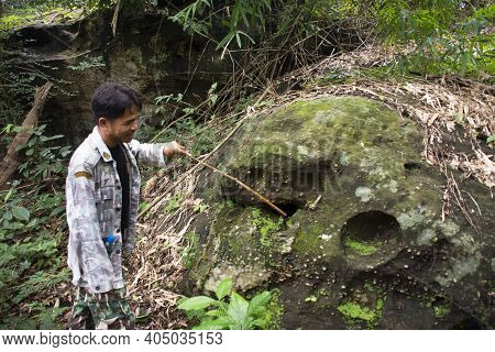 Forestry Officer Bring Thai People And Foreign Traveler Walking In Forest Visit Tham Buang Waterfall