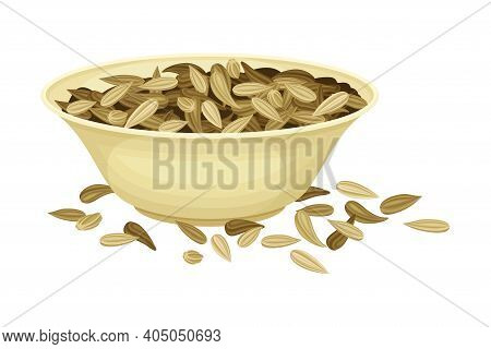 Dried Fennel Fruit As Aromatic Anise-flavored In Bowl Vector Illustration