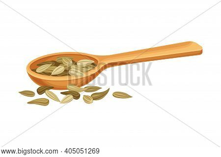 Dried Fennel Fruit As Aromatic Anise-flavored In Wooden Spoon Vector Illustration