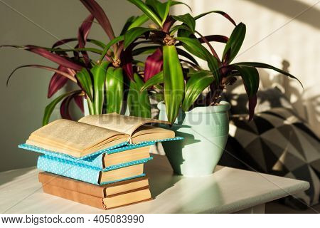 Pile Of Books In Colorful Covers And Rhoeo Plant Tradescantia In Blue Ceramic Pots On A White Table