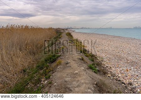 View Of The Natural Reserve Of Plants And Birds La Marjal Els Moros In The Town Of Puzol In Spain. N