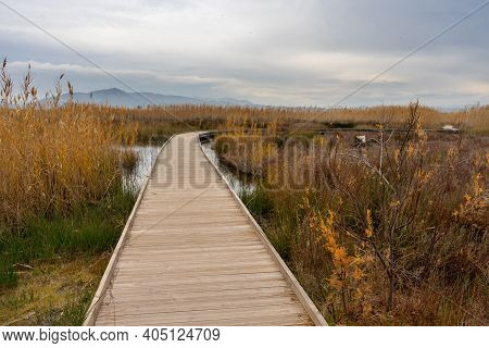 View Of A Wooden Walkway In The Natural Reserve Of Plants And Birds La Marjal Els Moros In The Town 