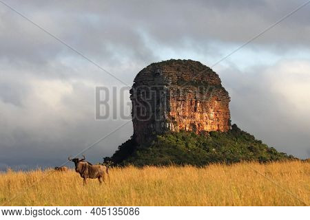 Rock In The Northern Part Of South Africa.a Typical Rock In A National Park In Northern South Africa