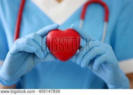 Doctor In Gloves Holds A Red Heart. Diseases Of The Cardiovascular System Concept