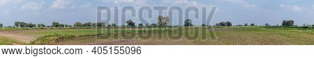 Abbigeri, Karnataka, India - November 6, 2013: Panorama Flat Landscape View Over Green Agricultural 