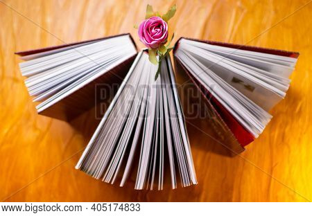 Open Veterinarian  Book On The Table Vertically