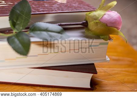 Open Veterinarian Book On The Table Vertically
