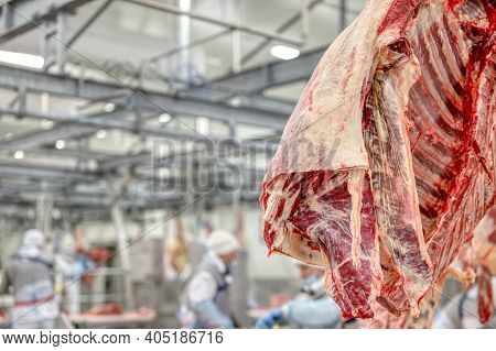 Chopped Beef Carcasses. Large Chunks Of Cow Carcasses Hang From An Overhead Conveyor.