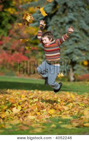 Boy Playing In Fall Leaves