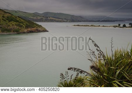 Seascape In Otago Harbor. Otago Peninsula. Otago. South Island. New Zealand.