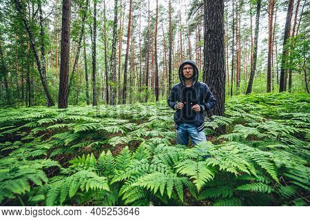 Guy With Backpack In Sunny Summer Forest Among Lush Fern Thickets. Beautiful Woodland Green Landscap