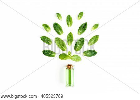Essential Oil And Greenmint Leaves On White Background. Medicinal Herbs. Flat Lay. Top View.