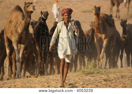 Pushkar Fair