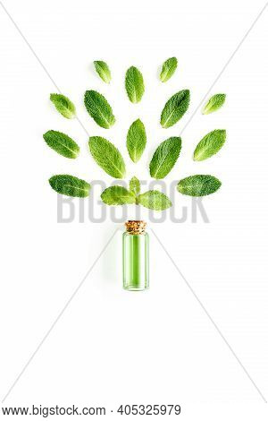 Essential Oil And Greenmint Leaves On White Background. Medicinal Herbs. Flat Lay. Top View.