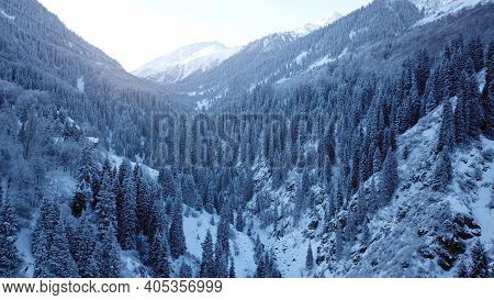 A Majestic Snowy Gorge With Fir Trees In Mountains. Tall Trees Brush Against White Clouds. Steep Cli