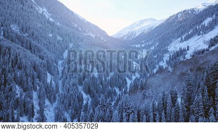 A Majestic Snowy Gorge With Fir Trees In Mountains. Tall Trees Brush Against White Clouds. Steep Cli