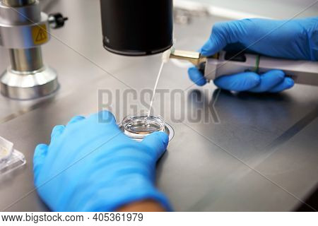 Hands Of A Scientist In The Laboratory With A Test Tube And A Microscope. The Invention Of The Vacci