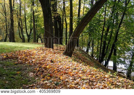 The Steep Bank Of The Pond In The Park Overgrown With Old Trees Covered With Dry Leaves, Background,