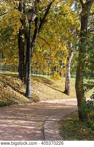 Walking Path In The Park Among The Tree Trunks Next To The Metllic Fence, Street Lamp, Background