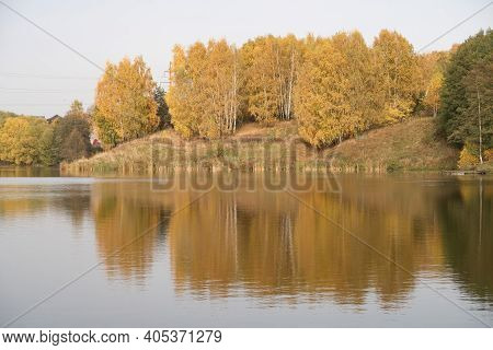 Yellow Birch Trees On The Shore Of The Pond, Golden Autumn, Reflection, Water Surface, Background