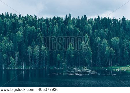 View Of Wild Woods And Idyllic Lake In Calm. North Nature, Taiga. Priozersk Region Korela Russia