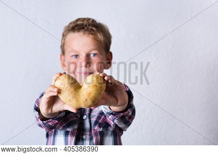 Trendy Ugly Vegetable, Heart Shaped Potato In Hands