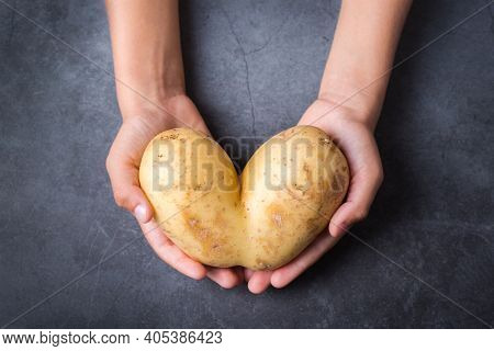 Trendy Ugly Vegetable, Heart Shaped Potato In Hands
