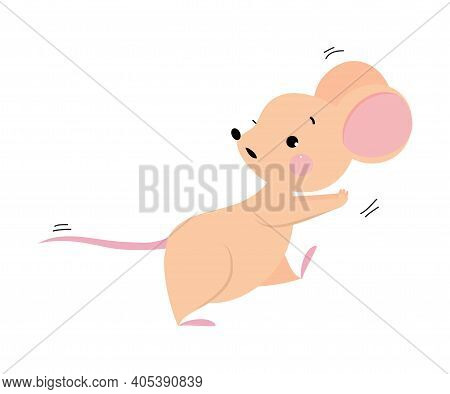 Cute Mouse With Pointed Snout And Rounded Ears Running And Escaping From Someone Vector Illustration