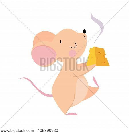 Cute Mouse With Pointed Snout And Rounded Ears Carrying Cheese Slab Vector Illustration