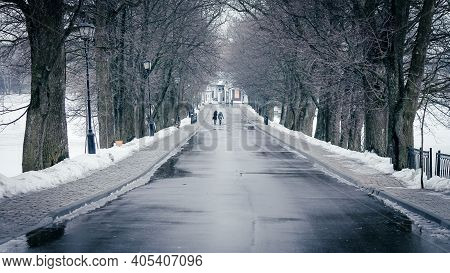 Alley At The Entrance To Nesvizh Park In Belarus On A Cold Winter Day . High Quality Photo