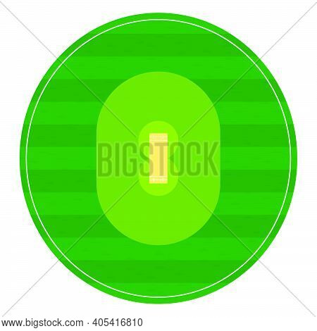 Cricket Field Markings Lines With Grass, Playground Top View. Sports Ground For Active Recreation. V