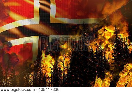 Big Forest Fire Fight Concept, Natural Disaster - Burning Fire In The Trees On Norway Flag Backgroun