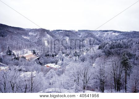 Inverno su Forest Hills (Chezh Repubblica).
