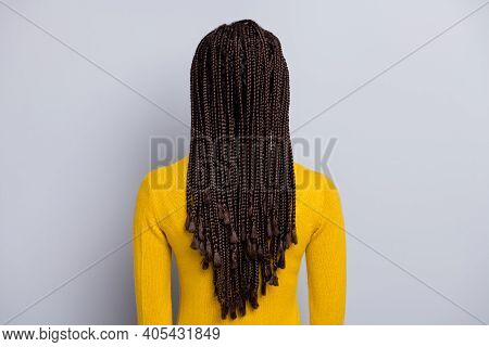 Back Rear View Photo Of Young African Woman Anonym Salon Haircare Hairdo Dreadlocks Isolated Over Gr