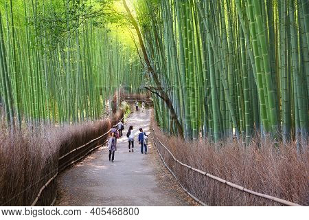 Kyoto, Japan - April 17, 2012: People Visit Sagano Bamboo Grove Of Arashiyama In Kyoto, Japan. Arash