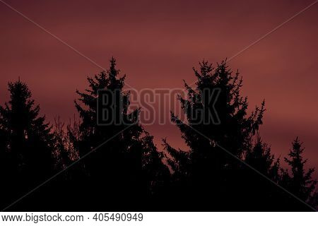 Red Sky And Clouds Above The Forest On A Sunny Morning. Dramatic Red Sky