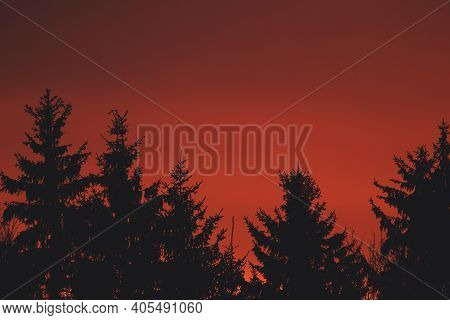 Red Sky And Clouds Above The Forest On A Sunny Morning. Dramatic Red Sky