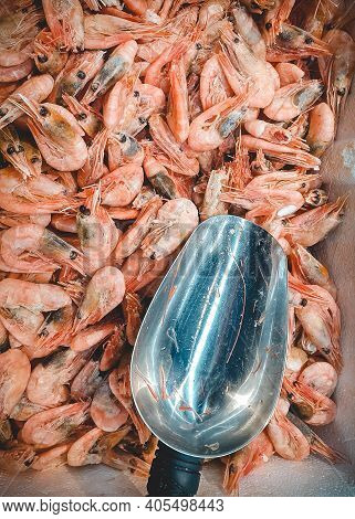 Top View Of Frozen Prawns And Metal Scoop In Market. Deepfrozen Pink Shrimps, Vertical Orientation