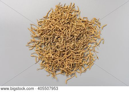 Top View Herb Jinyinhua Or Lonicerae Japonicae Flos Or Japanese Honysuckle Flower Bud