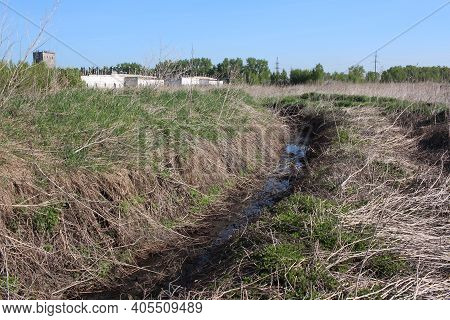 Dried-up Streambed In The Summer In The Grass With Water