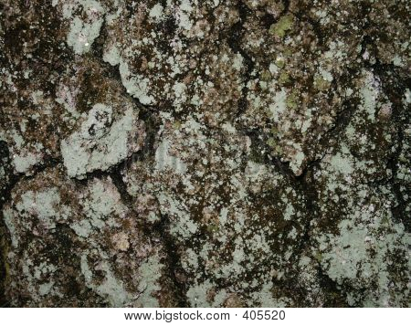 Textura